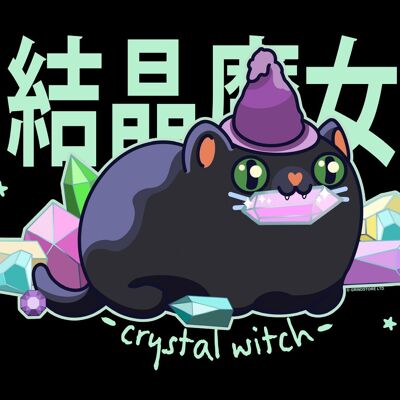 Minicartel de chapa Kawaii Coven Crystal Witch