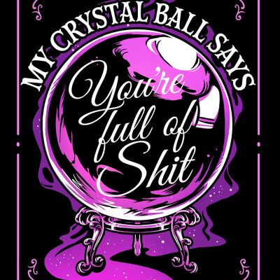 My Crystal Ball Says You're Full Of Shit Mini Plaque en Métal