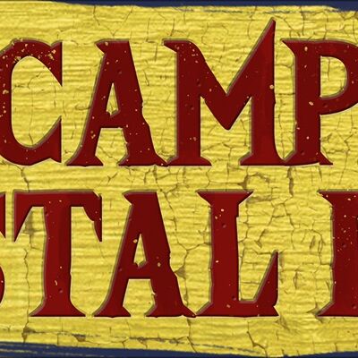 Camp Crystal Lake Slim Blechschild