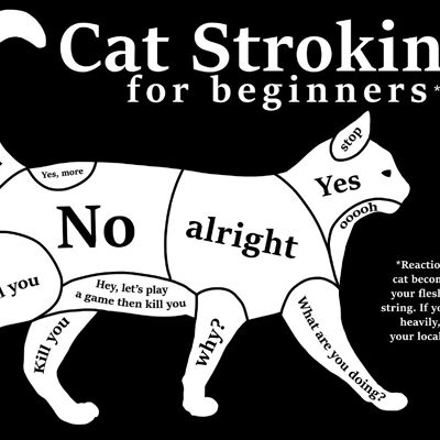 Tarjeta de hojalata con diseño de gato acariciando para principiantes