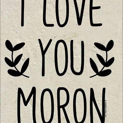 Cartel de chapa pequeño I Love You Moron