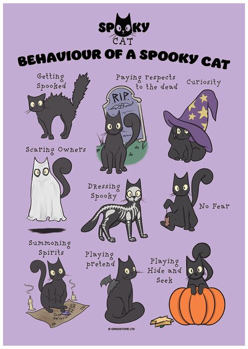 Behaviour Of A Spooky Cat Mini Poster