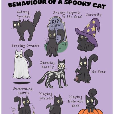 Comportement d'un chat effrayant Mini Poster