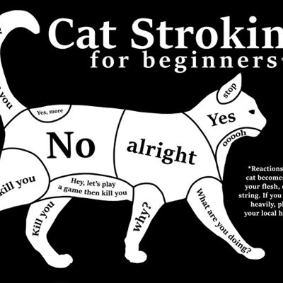 Cat Stroking For Beginners Mini Poster