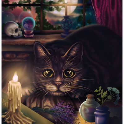 Katzenartiges Vertrautes Mini-Poster