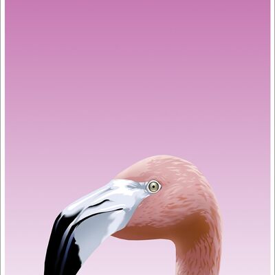 Mini affiche Flamingo Créatures curieuses