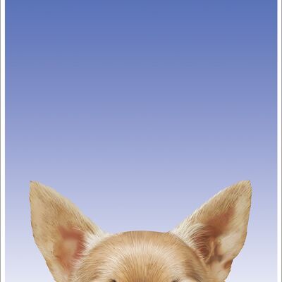 Inquisitive Creatures Chihuahua Mini Poster