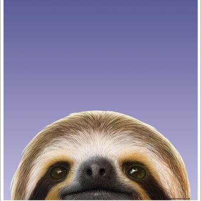 Inquisitive Creatures Sloth Mini Poster