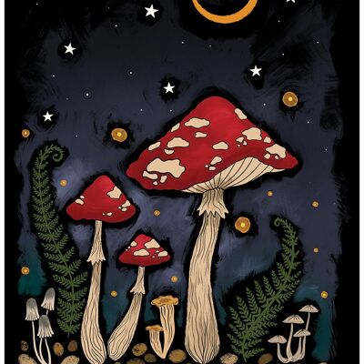 Mini poster di funghi magici ancora in crescita