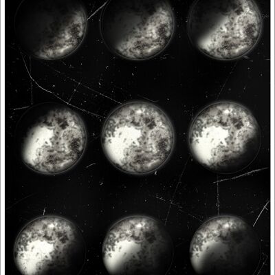 Phases Of The Moon Mini Poster