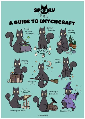 Spooky Cat Un guide de la sorcellerie Mini Poster