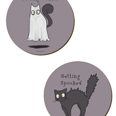 Untersetzer mit gruseligem Katzenverhalten – 4er-Set