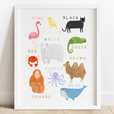 Colour Educational Animals Print A4