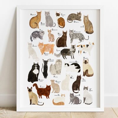 Cat Breed Alphabet Print A4