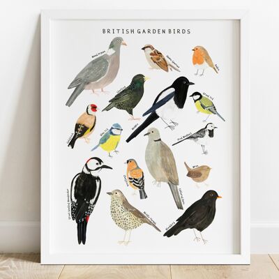 British Garden Birds Print A4