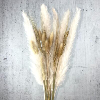 Mazzo di fiori secchi bianco pampa decorazione erba marrone 65-70 cm di lunghezza fiori secchi grande I decorazione boho I fiori secchi I decorazione da tavola I rami decorativi per bouquet di fiori secchi I veri fiori decorativi I pampa I fiori decorativi I 15 pezzi