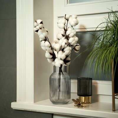 Real cotton branch 3 pieces with 10 heads each, dried cotton branch white cotton decoration for vases, bouquet of dried flowers, as wedding decoration or table decoration, dried flowers cotton