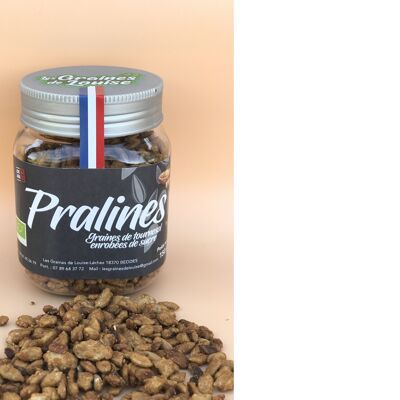 Praline di girasole bio