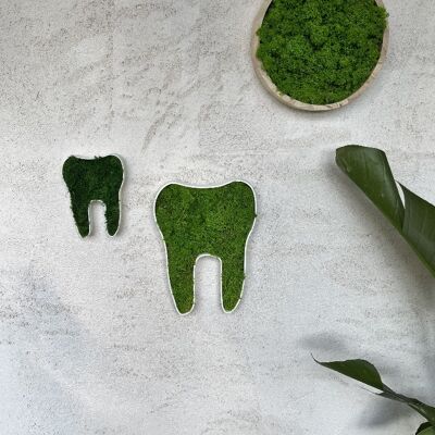 Logo  de deux dents végétales   - 23 cm