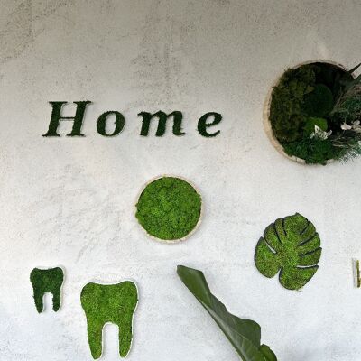 Lettres végétales  stabilisée "Home" - 45 cm