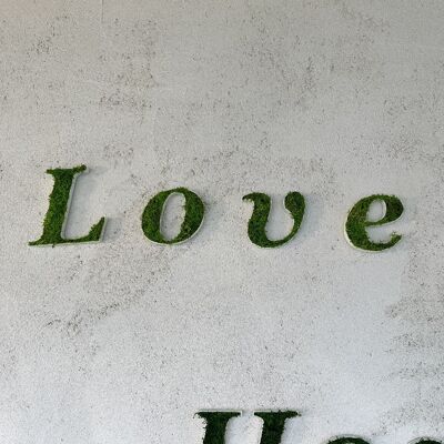 Lettres végétales stabilisée "Love" - 35 cm