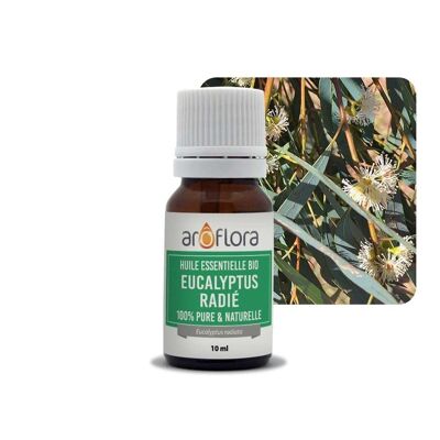 Lot de 6 huiles essentielles 6x10 ml Eucalyptus radié