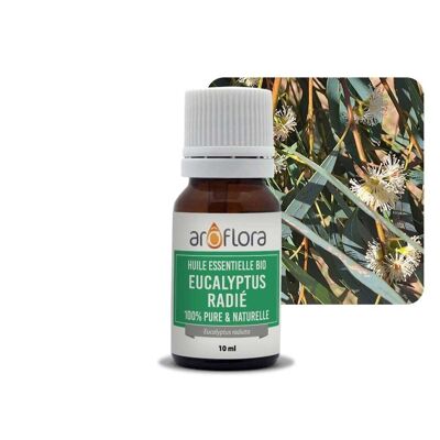 Batch of 6 essential oils 6x10 ml Eucalyptus radiated