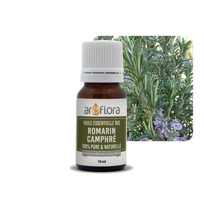 Lot de 6 huiles essentielles 6x10 ml Romarin camphré