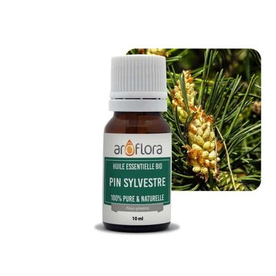 Batch of 6 essential oils 6x10 ml Pine Sylvester