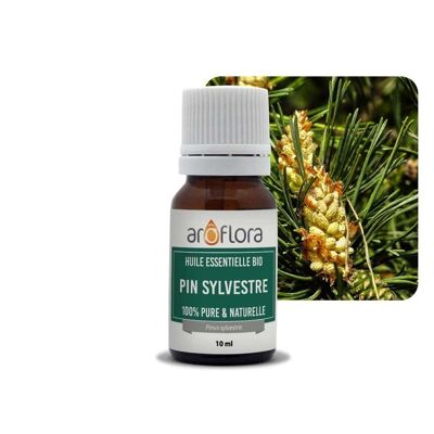 Batch of 6 essential oils 6x10 ml Pine Sylvester