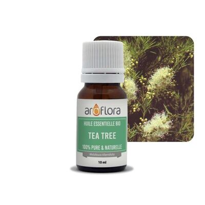 Charge von 6 ätherischen Ölen 6x10 ml Teebaum