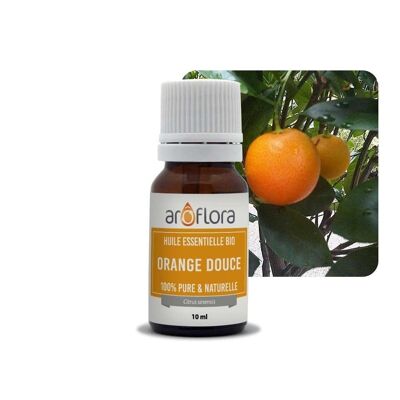 Charge von 6 ätherischen Ölen 6x10 ml Süßorange