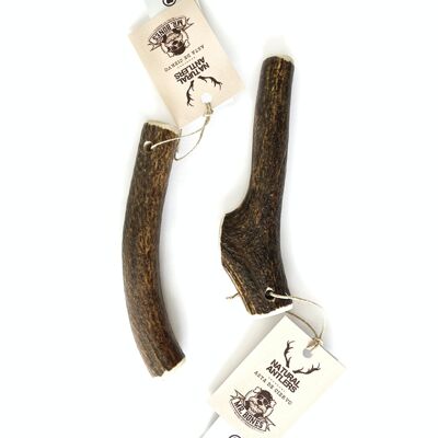 Deer antler S (40-75g) - Natural chew for dogs