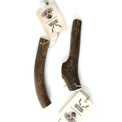 Deer antler S (40-75g) - Natural chew for dogs