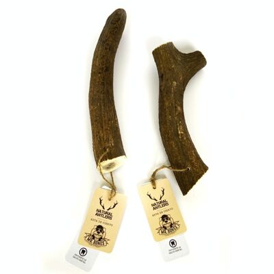 Deer antler L (151-225g) - Natural chew for dogs