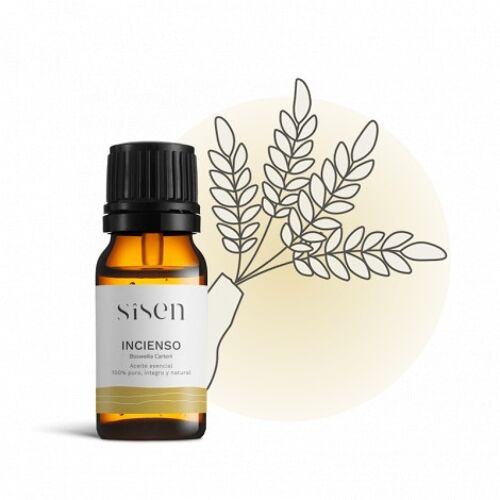 Aceite Esencial de Incienso - 10 ml