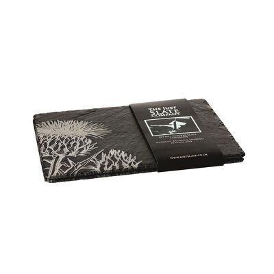 2 Contemporary Thistle Slate Place Mats