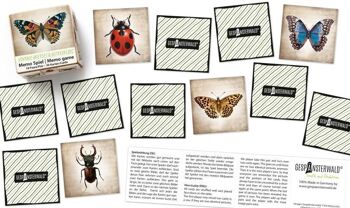 Mémo sur les coléoptères et les papillons vintage 2