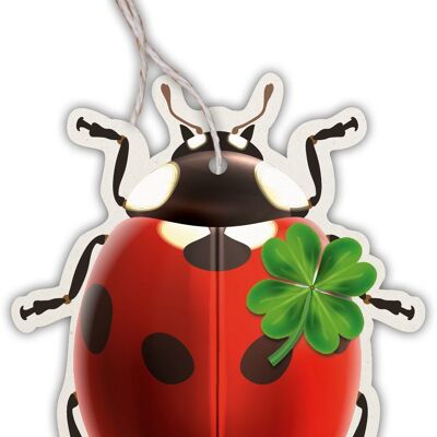 Etichetta regalo coccinella