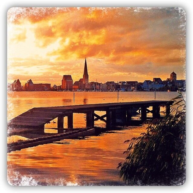 Forma calamita Rostock sera