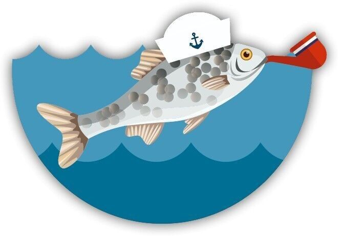 Magnete a forma di pesce Rostock