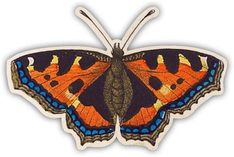 Shape magnet Little fox