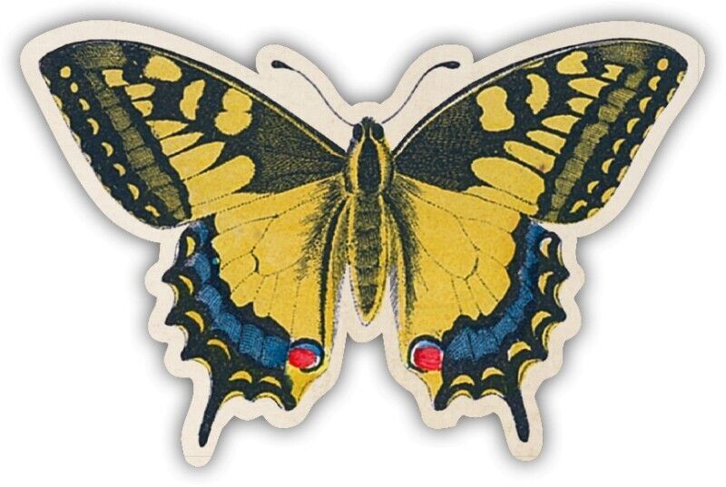 Shape magnet dovetail