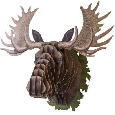 Animal head moose