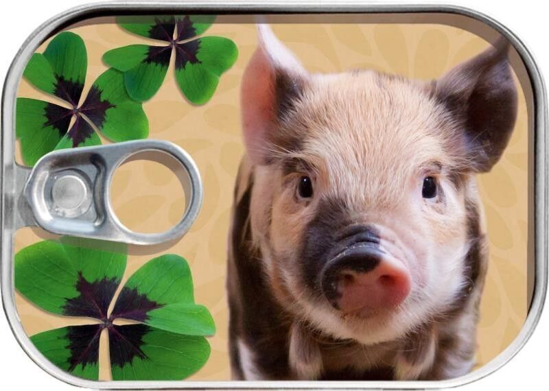 Può spedire "maiale fortunato"