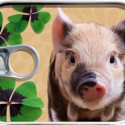 Can mail "lucky pig"