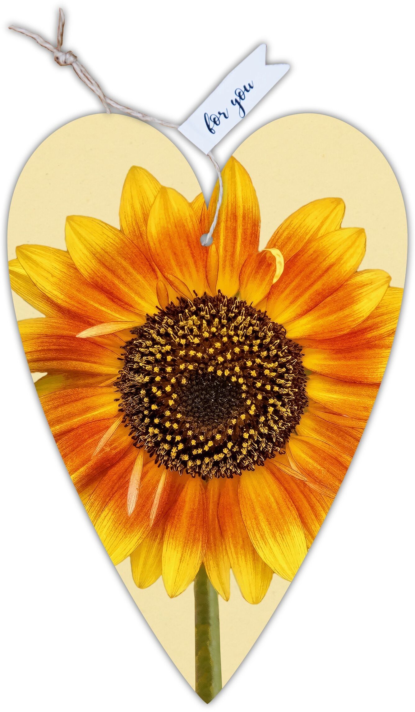 Carte coeur notre Finlandais "Tournesol"