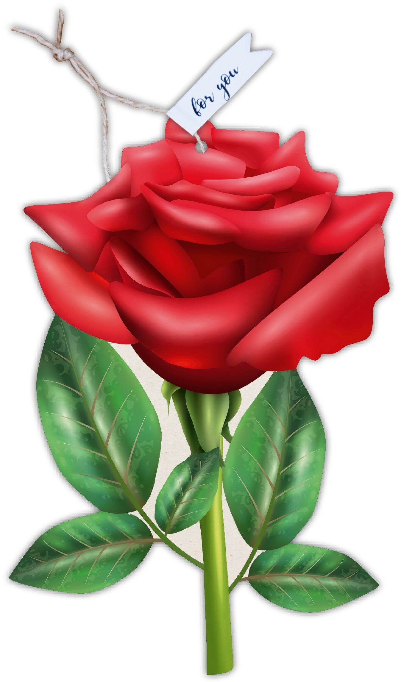 Form card our fin "Rose"