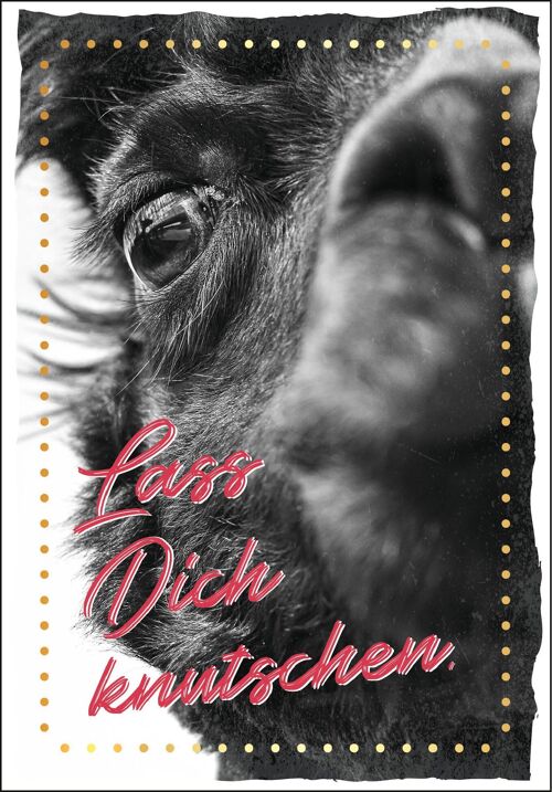 Postkarte Happy Words "Lass Dich knutschen"