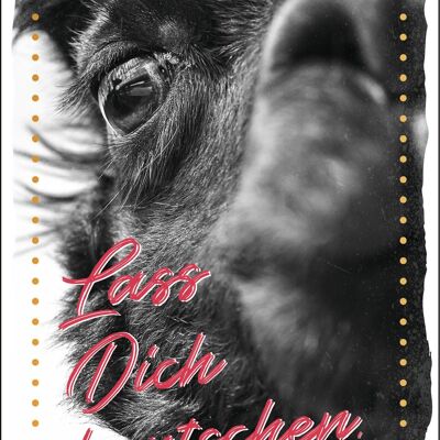 Postkarte Happy Words "Lass Dich knutschen"